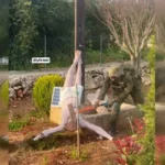 israel-repudia-ataque-a-s-mbolo-cristian