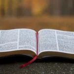 reflexiones-sobre-pentecost-s-y-el-esp-r