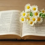 Salmos bonitos: colección de oraciones y reflexiones para inspirarte cada día salmos bonitos